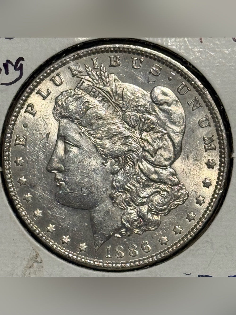 1886 Morgan Silver Dollar • Ungraded, Mint State